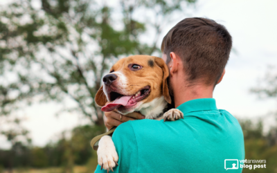 When the Pet Needs More Help: How Veterinary Teams Can Support Caregivers